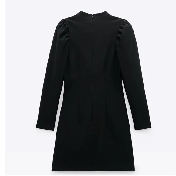 🌈🖤HP🖤🌈 𝗡𝗪𝗧 𝗭𝗮𝗿𝗮 • Balloon Sleeves Dress - Picture 9 of 15